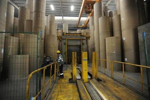 一张纸带动一座城 细数重庆江津与纸相关的环保建设工程专业施工这一年