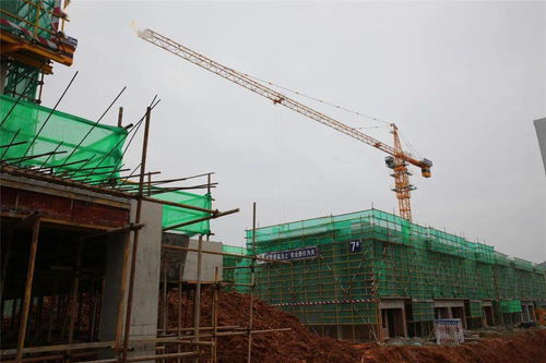 围观 两代表一委员 现场督查重点项目建设